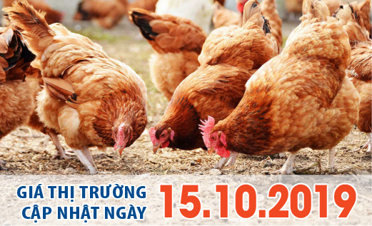 Thị trường 08/12/2023