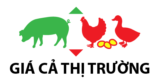 Anova Feed - Giá heo thịt miền Bắc & miền Tây Nam Bộ rớt giá