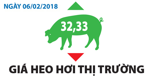 Giá heo hơi thị trường - Ngày 06/02/2018