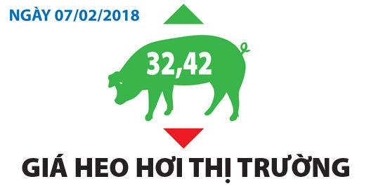 Giá heo hơi thị trường - Ngày 07/02/2018