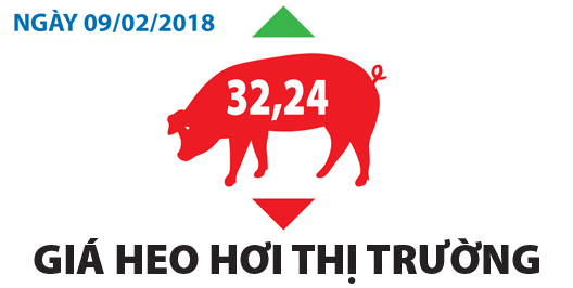 Giá heo hơi thị trường - Ngày 09/02/2018