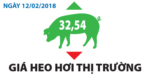 Giá heo hơi thị trường - Ngày 12/02/2018