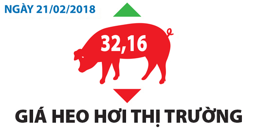 Giá heo hơi thị trường - Ngày 21/02/2018