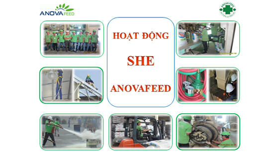 Hoạt động SHE của Anova Feed (P.2)