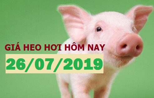 Anova Feed – Miền Nam vẫn giảm, khó cho người chăn nuôi - Giá thị trường ngày 26/7