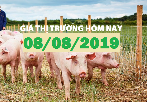 Anova Feed – Nhiều nơi tăng giá, miền Bắc thiết lập đỉnh mới - Giá thị trường ngày 08/08