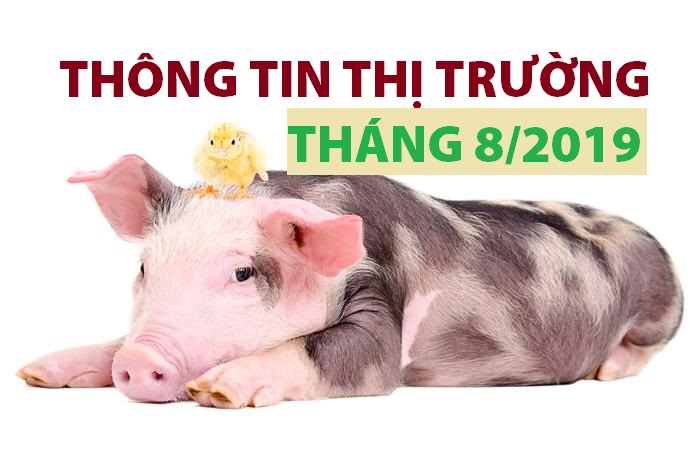 Anova Feed – Tổng quan thị trường chăn nuôi tháng 8