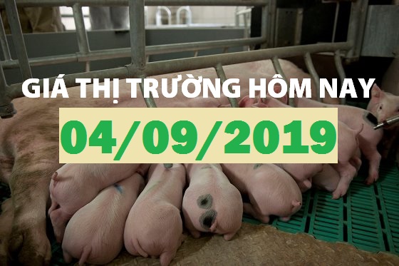 Anova Feed – Bao giờ có đợt tăng giá mới? - Giá thị trường ngày 04/09