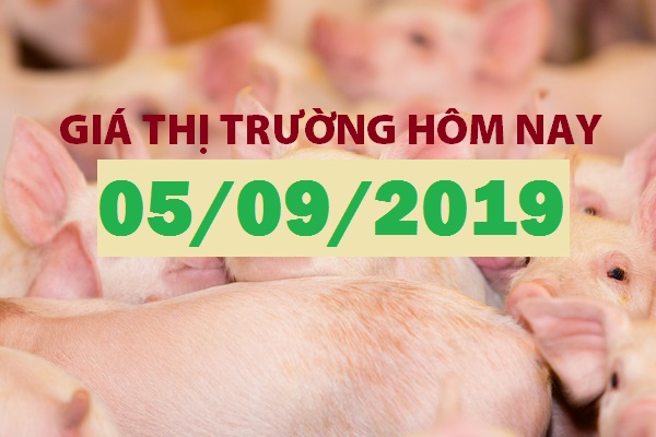 Anova Feed – Thị trường im ắng nhiều phiên liên tiếp- Giá thị trường ngày 05/09