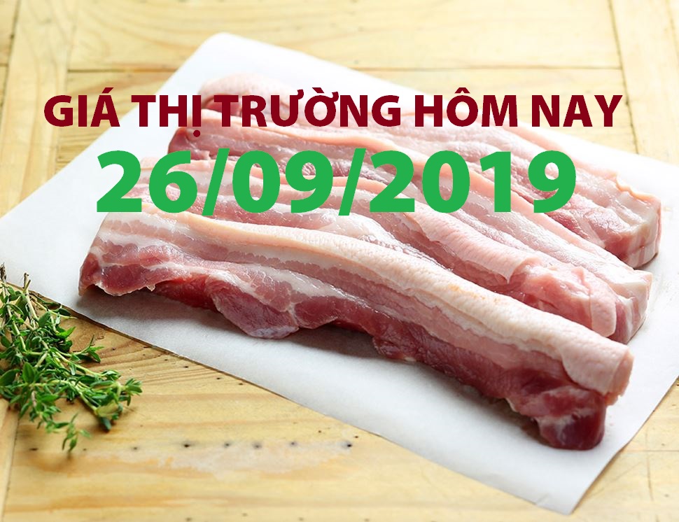 Anova Feed – Giá heo cả nước duy trì trạng thái ổn định - Giá thị trường ngày 26/09