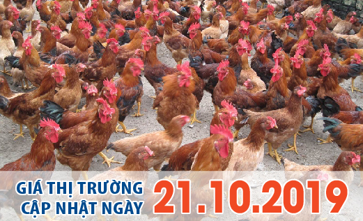 Anova Feed – Đồng loạt giảm mạnh phiên đầu tuần, dấu hiệu bất ổn từ thị trường