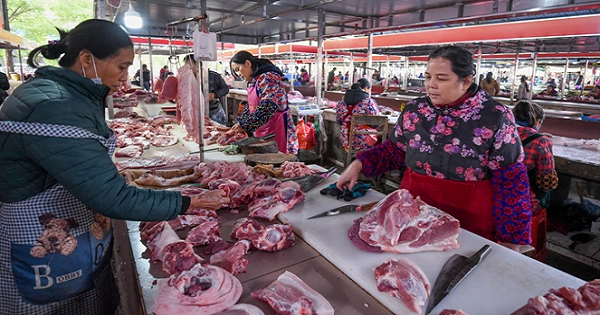 Trung Quốc kiểm soát giá thịt lợn