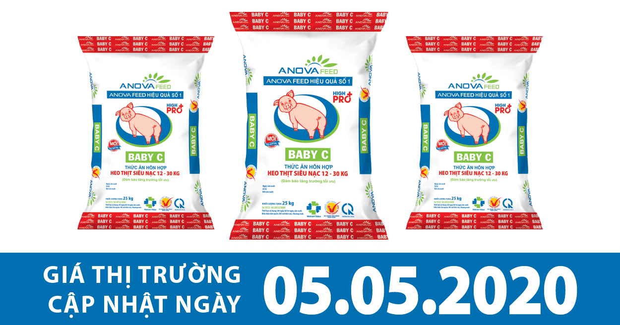 Anova Feed - Giá heo hôm nay 5/5 tiếp tục sốt giá trở lại, nhiều địa phương sốt sắng tái đàn.