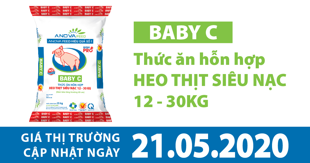 Anova Feed - Giá heo hơi hôm nay 21/5 chính thức cán mốc 100.000 đồng/kg.