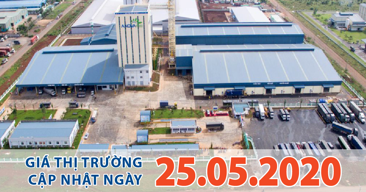 Anova Feed - Ngày đầu tuần, giá heo hơi tăng vọt lên mức giá chạm đỉnh 102.000 đồng/kg.