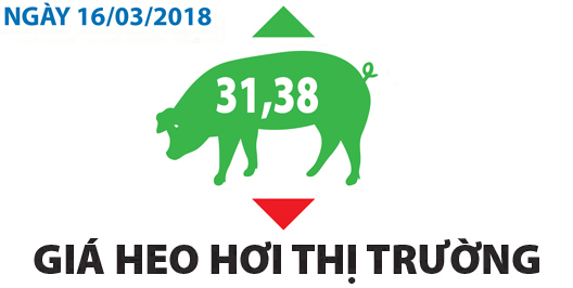 Giá heo hơi thị trường - Ngày 16/03/2018