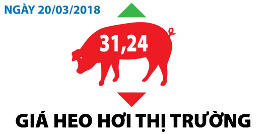 Giá heo hơi thị trường - Ngày 20/03/2018