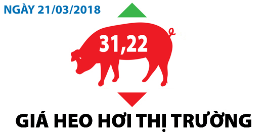 Giá heo hơi thị trường - Ngày 21/03/2018