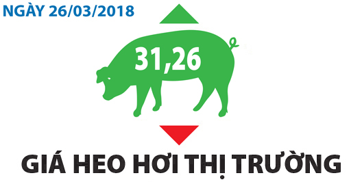 Giá heo hơi thị trường - Ngày 26/03/2018