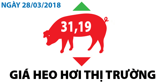 Giá heo hơi thị trường - Ngày 28/03/2018