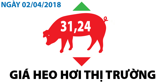 Giá heo hơi thị trường - Ngày 02/04/2018