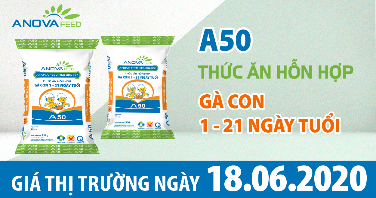 Anova Feed - Giá heo hơi ổn định 3 miền, chính sách đặc thù hỗ trợ tái đàn ở một số địa phương.