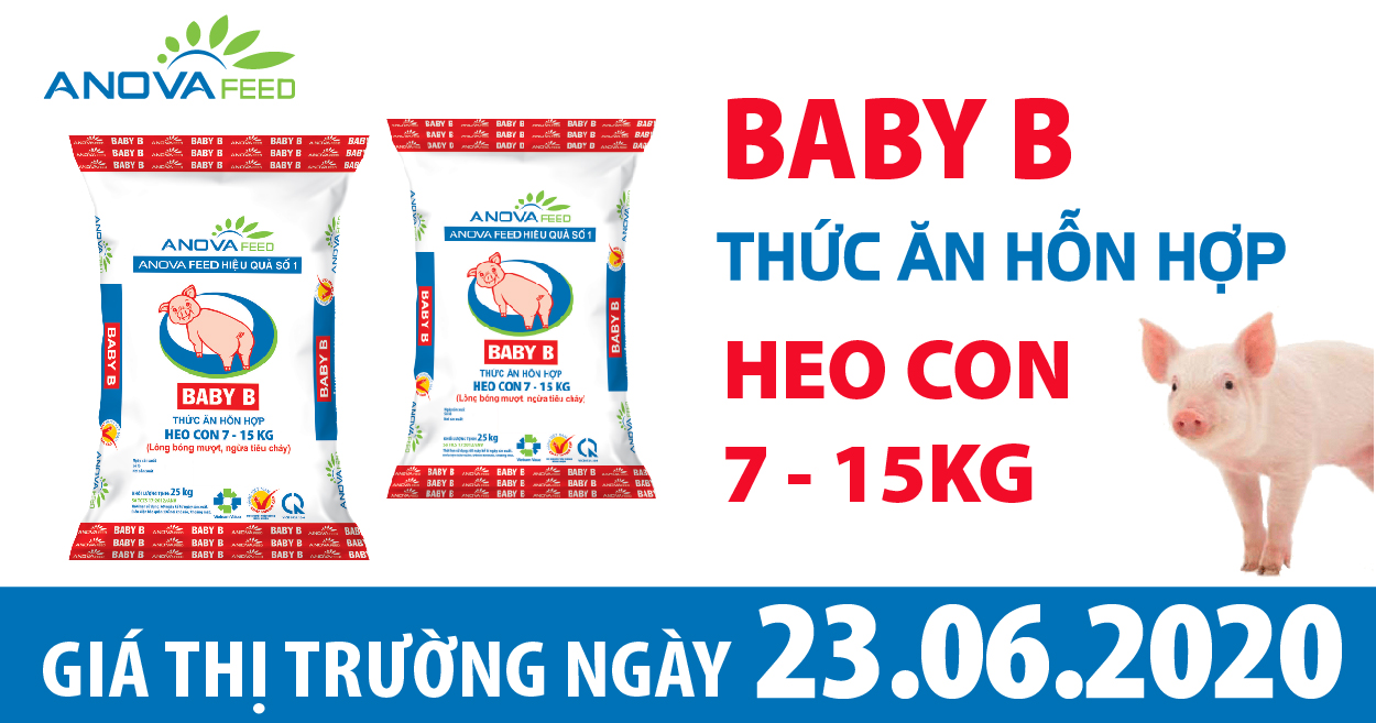 Anova Feed - Thịt heo từ lô nhập khẩu heo sống từ Thái Lan được tung ra thị trường, thị trường heo hơi đứng giá.