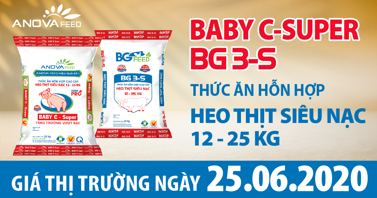 Anova Feed - Giá heo hơi hôm nay 25/6 miền Bắc tăng nhẹ, miền Nam tiếp tục giảm 1.000 - 2.000 đồng/kg