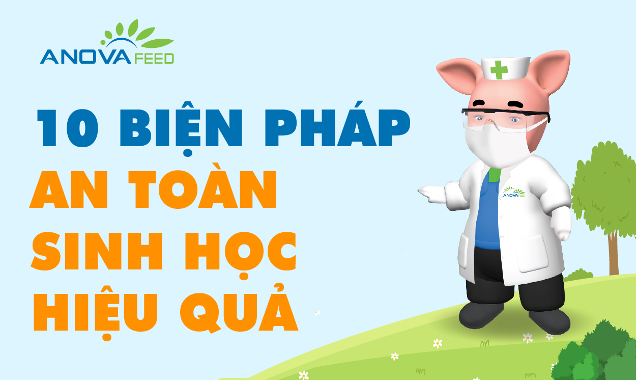 Anova Feed - 10 BIỆN PHÁP AN TOÀN SINH HỌC HIỆU QUẢ