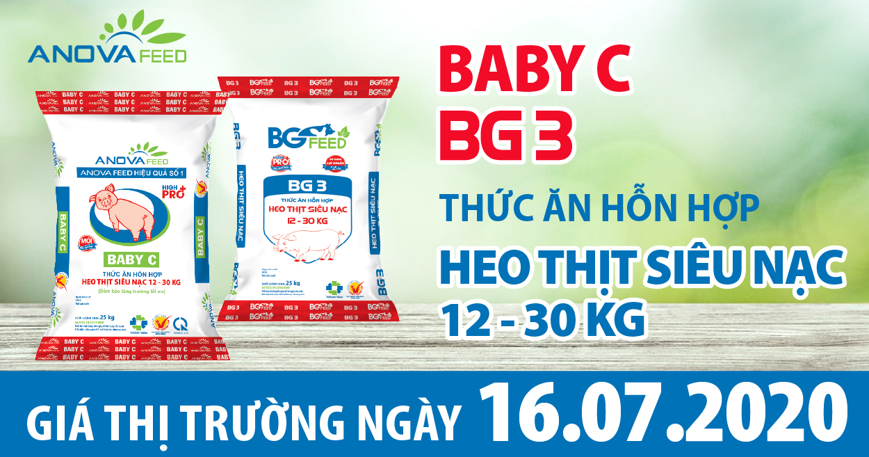 Anova Feed - Giá heo hơi hôm nay 16/7 vẫn duy trì mức cao, nhiều nơi tiến về mốc 90.000 đồng/kg.