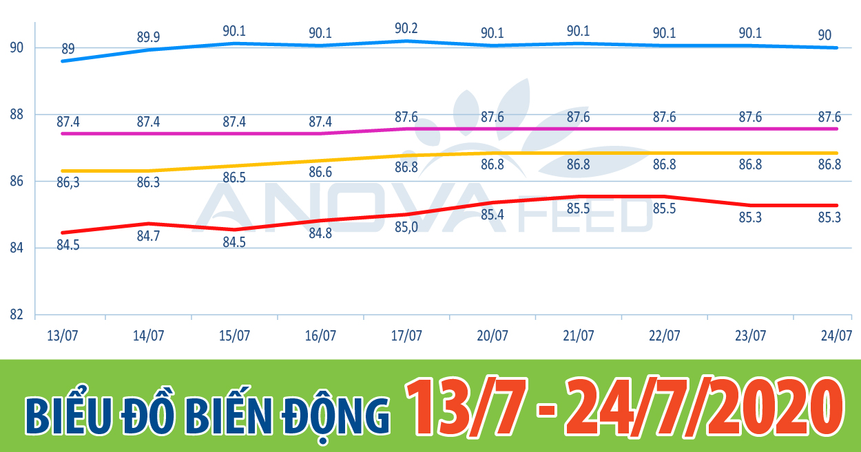 📈ANOVA FEED - BIỂU ĐỒ BIẾN ĐỘNG GIÁ THỊ TRƯỜNG CHĂN NUÔI 2 TUẦN GẦN NHẤT TỪ 13/7 - 24/7/2020📈