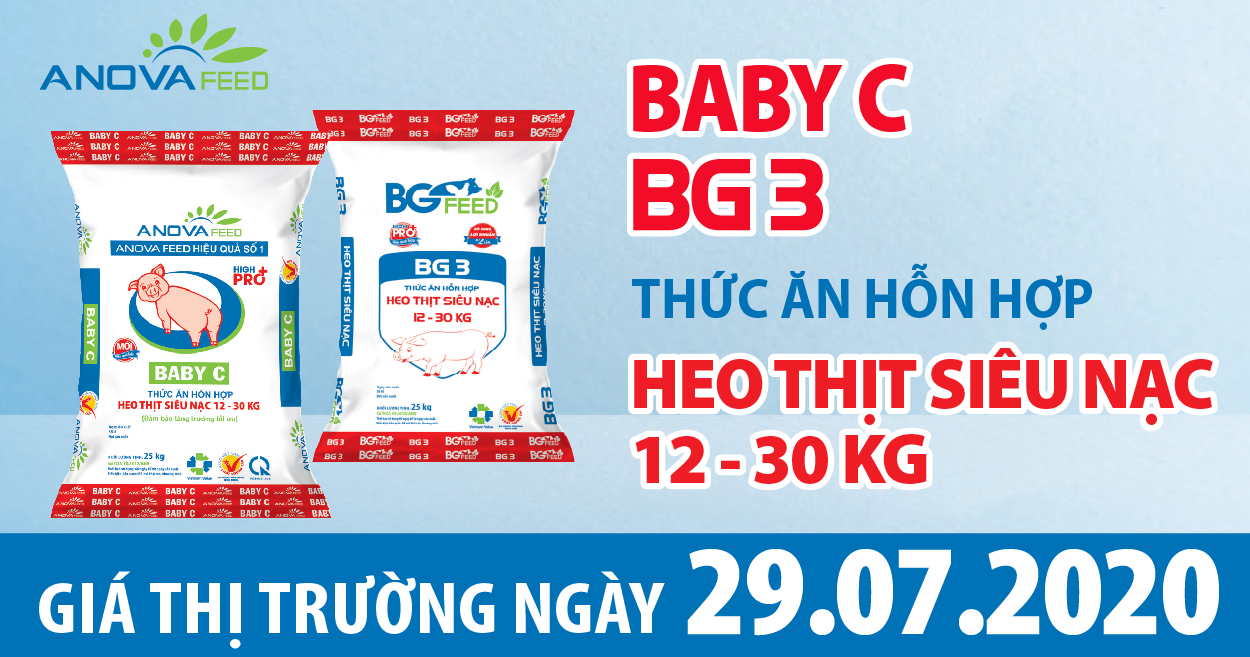 Giá heo hơi hôm nay 29/7: Miền Nam giảm nhẹ từ 1.000 - 2.000 đồng/kg. Cả nước cao nhất 92.000 đồng/kg.