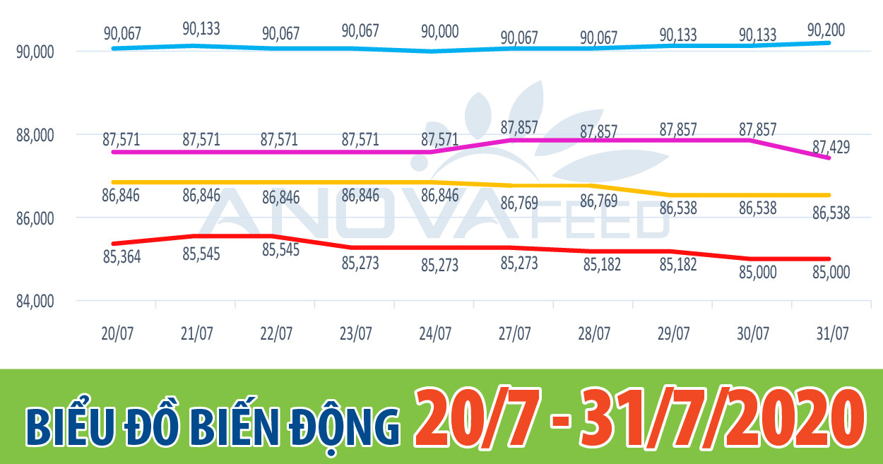 📈ANOVA FEED - BIỂU ĐỒ BIẾN ĐỘNG GIÁ THỊ TRƯỜNG CHĂN NUÔI 2 TUẦN GẦN NHẤT TỪ 20/7 - 31/7/2020📈