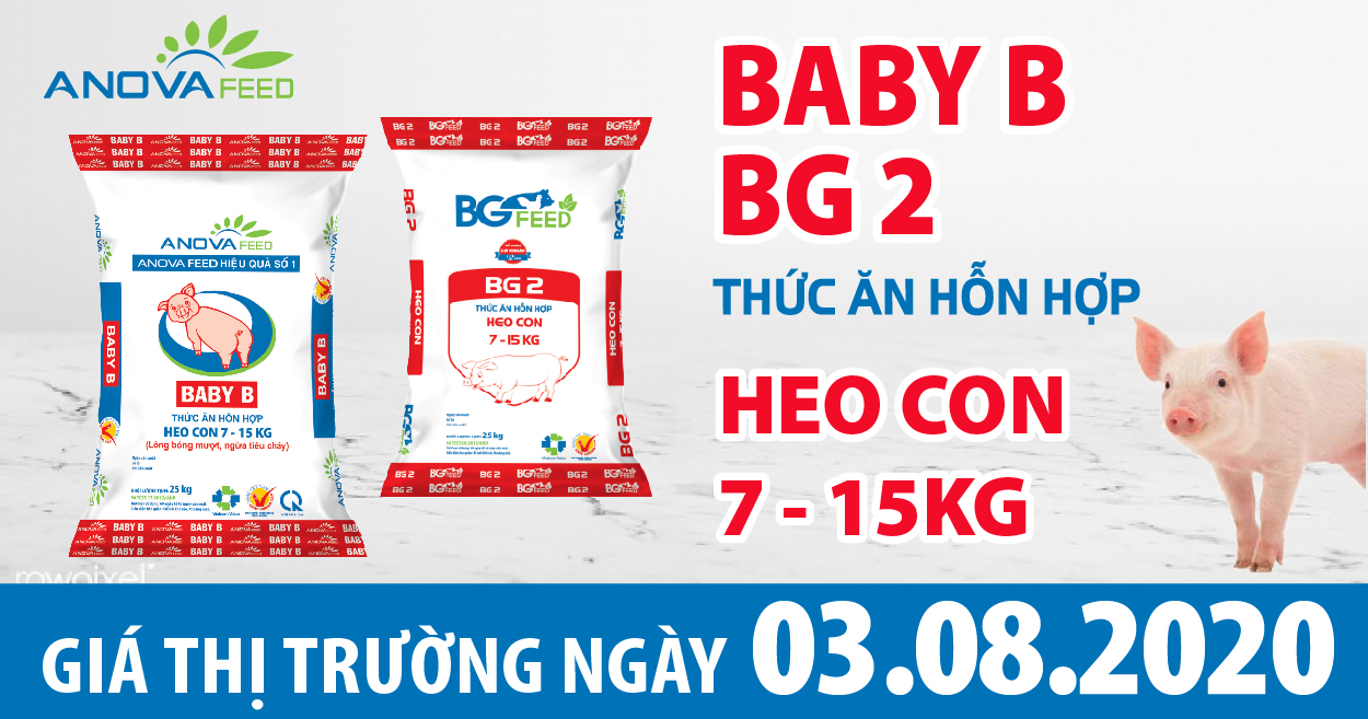 Anova Feed - Giá heo hơi hôm nay 3/8 ngày đầu tuần có dấu hiệu giảm do tổng đàn dần tăng.