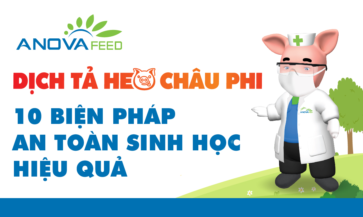 ANOVA FEED - CÂP NHẬT TÌNH HÌNH DỊCH TẢ HEO CHÂU PHI (ASF) ĐẾN 07/08/2020