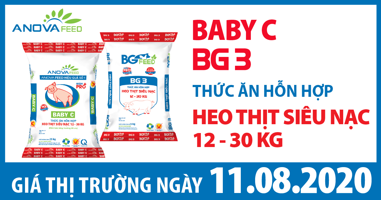 Anova Feed - Giá heo hơi hôm nay 11/8: Miền Bắc giảm mạnh rời khỏi mốc 90.000 đồng/kg.