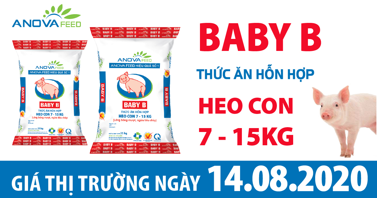 Anova Feed - Tin tức thị trường 14/8: Chăn nuôi an toàn sinh học được nhân rộng, giá heo hơi tiếp tục giảm nhẹ.