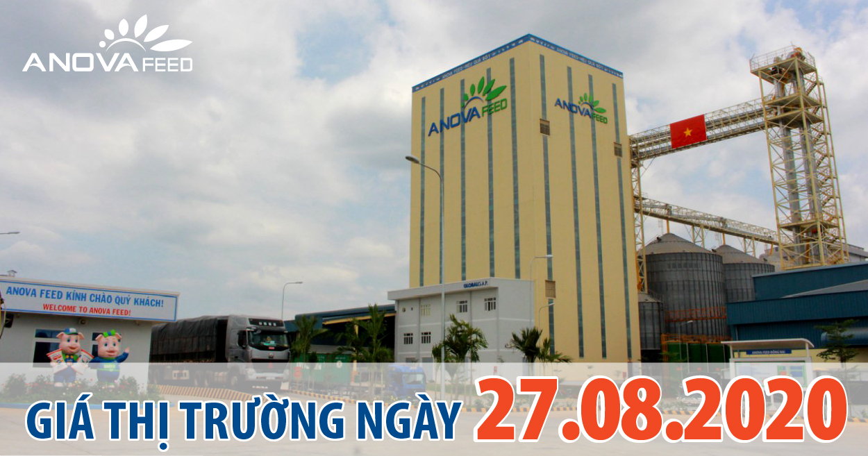 Anova Feed - Giá heo hơi hôm nay 27/08/2020 giảm sâu, giá dao động 78.000 - 83.000 đồng/kg.