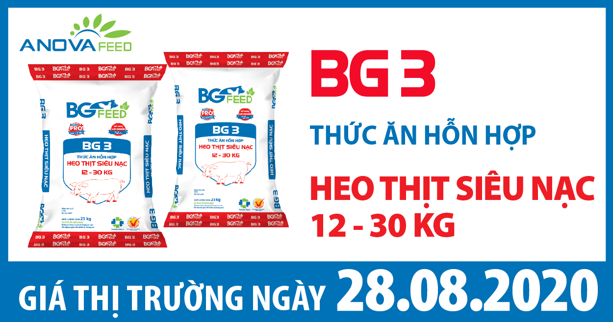 Anova Feed - Giá heo hơi hôm nay 28/08/2020 rời mốc 80.000 đồng/kg, nhiều địa phương tiếp tục giảm