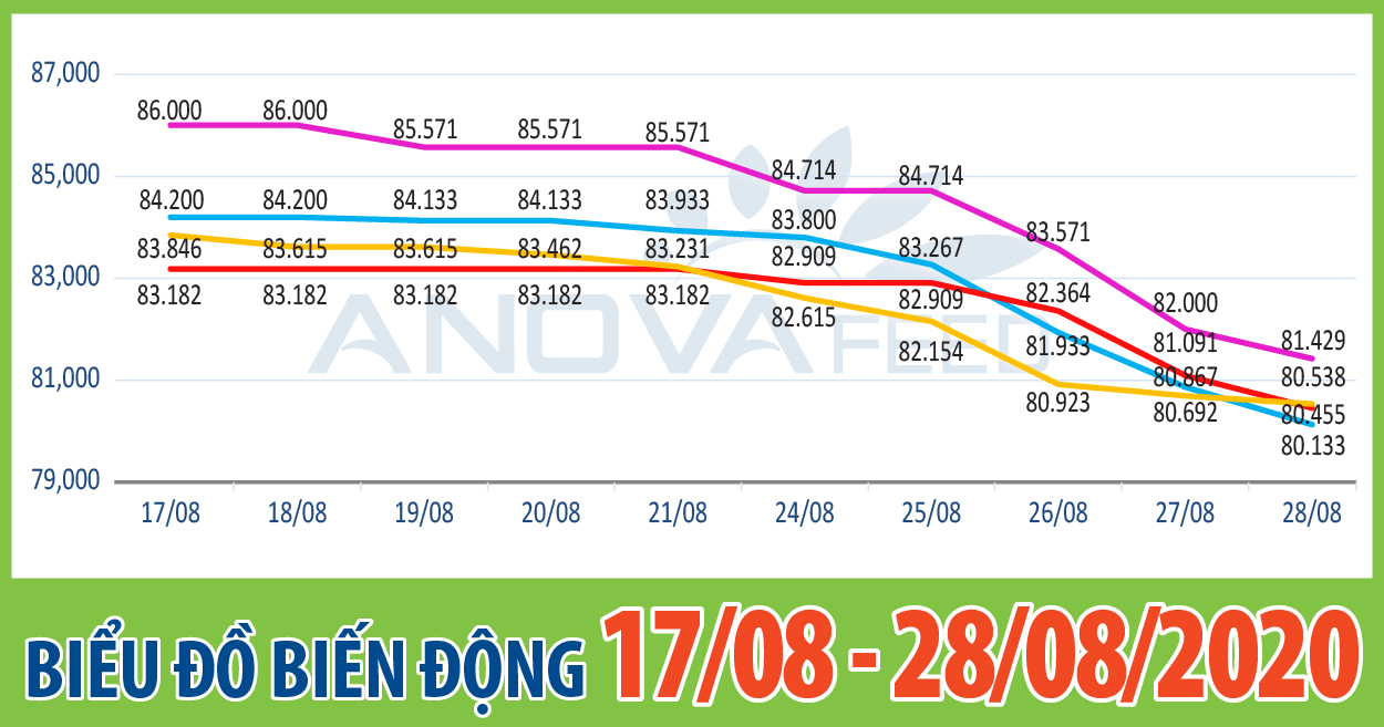 📈ANOVA FEED - BIỂU ĐỒ BIẾN ĐỘNG GIÁ THỊ TRƯỜNG CHĂN NUÔI 2 TUẦN GẦN NHẤT TỪ 17/08 - 28/08/2020📈