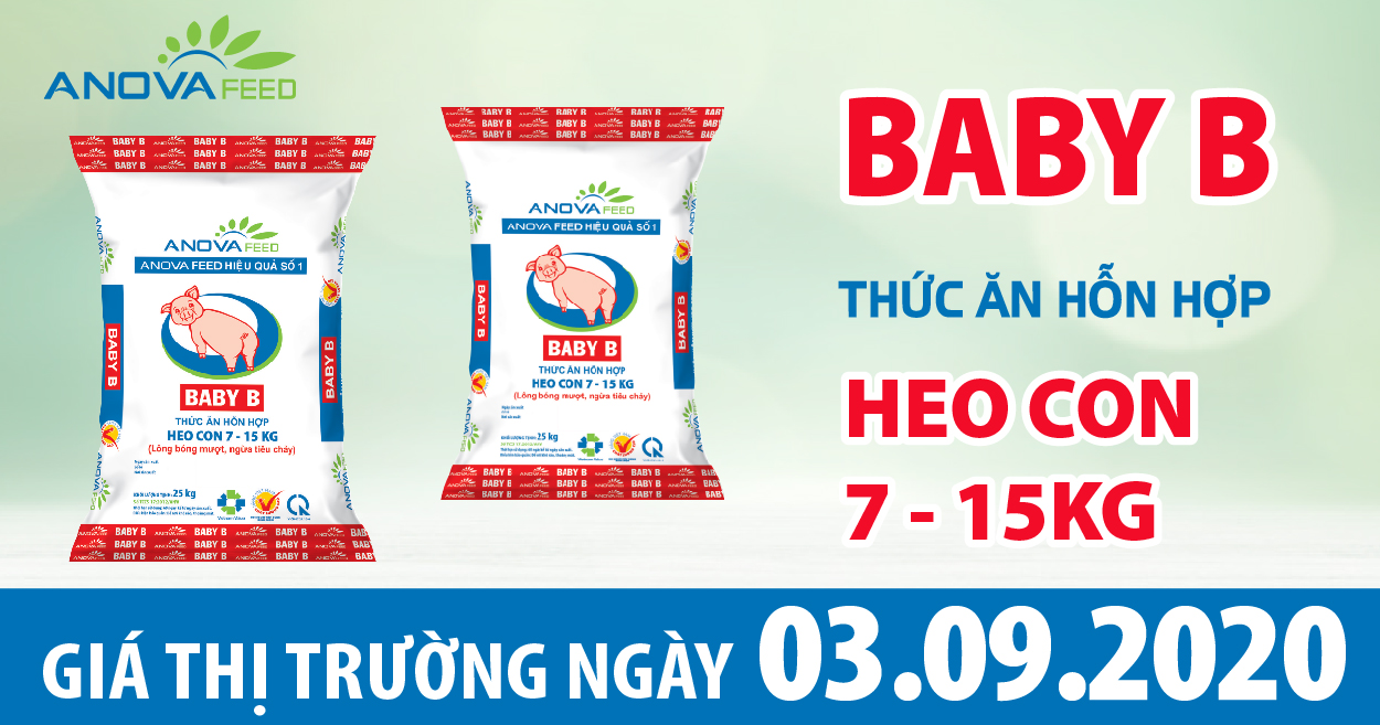 Anova Feed - Giá heo hơi hôm nay 03/09/2020 những ngày đầu tháng giảm nhẹ, sắp về ngưỡng 70.000 đồng/kg.