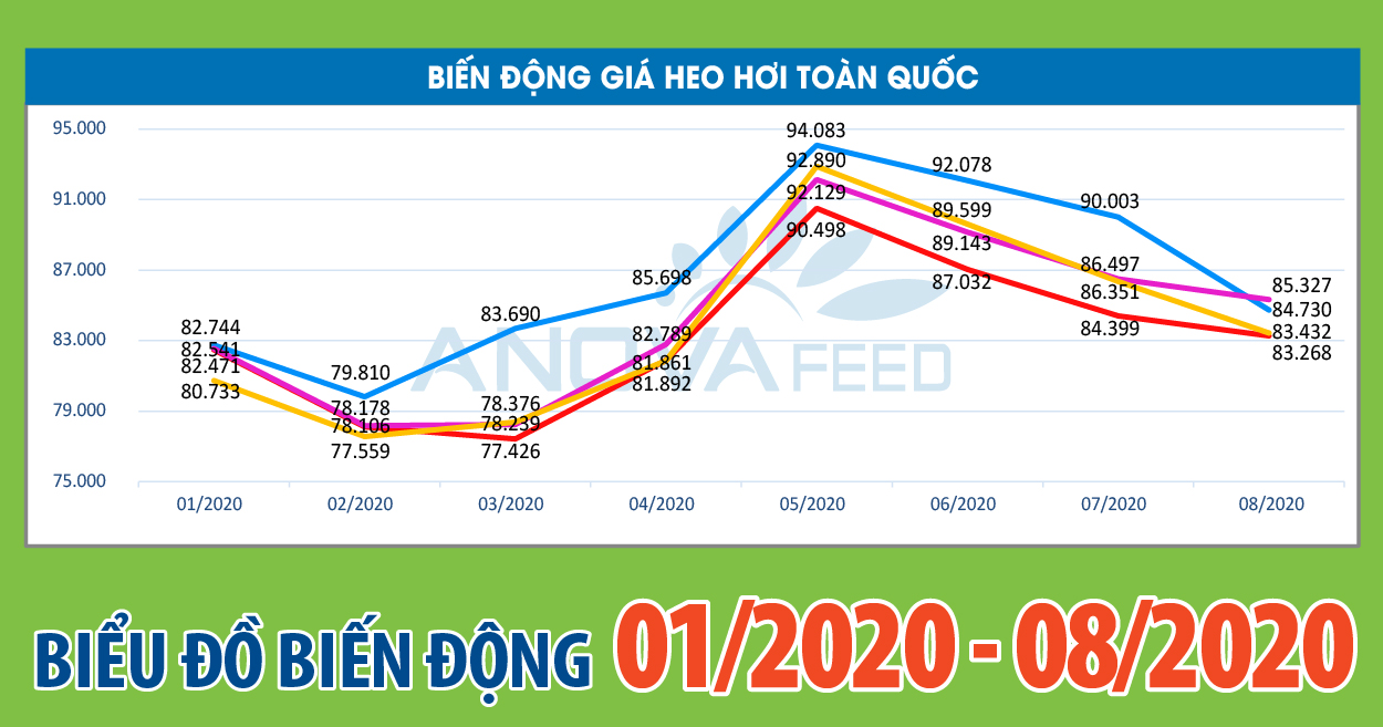 ANOVA FEED - BIỂU ĐỒ BIẾN ĐỘNG GIÁ THỊ TRƯỜNG CHĂN NUÔI NĂM 2020 TỪ 01/2020 - 08/2020