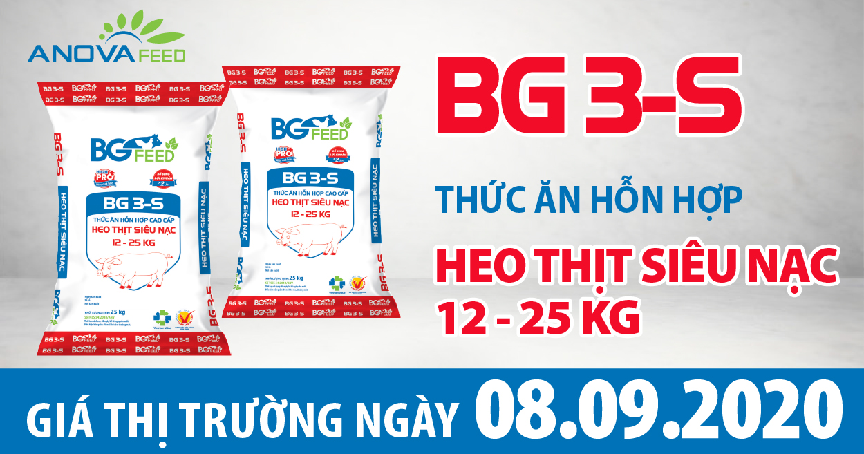 Anova Feed - Giá heo hơi hôm nay 08/09/2020 một vài địa phương tăng về mốc 80.000 đồng/kg