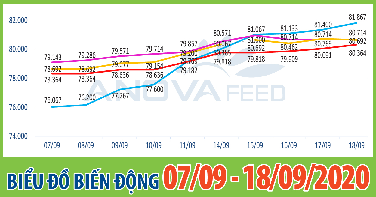 📈ANOVA FEED - BIỂU ĐỒ BIẾN ĐỘNG GIÁ THỊ TRƯỜNG CHĂN NUÔI 2 TUẦN GẦN NHẤT TỪ 07/09 - 18/09/2020📈