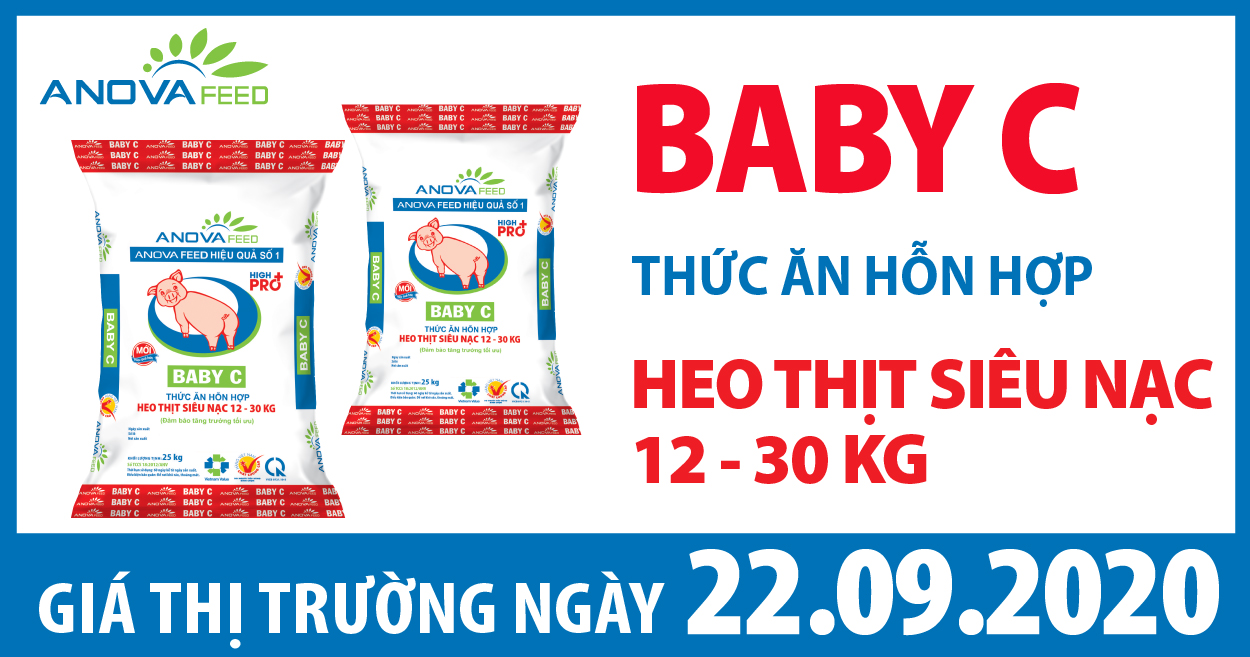 Anova Feed - Giá heo hơi hôm nay 22/09/2020 giảm nhẹ. Yên Bái đầu tư dự án chăn nuôi heo công nghệ cao 31 ha