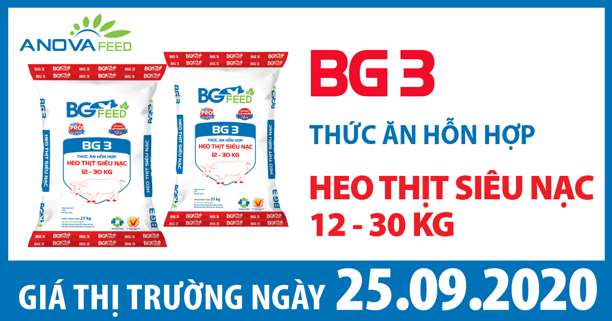 Anova Feed - Giá heo hơi hôm nay 25/09/2020: biến động nhẹ, dịch tả heo Châu Phi bùng phát ở nhiều tỉnh thành Miền Bắc.