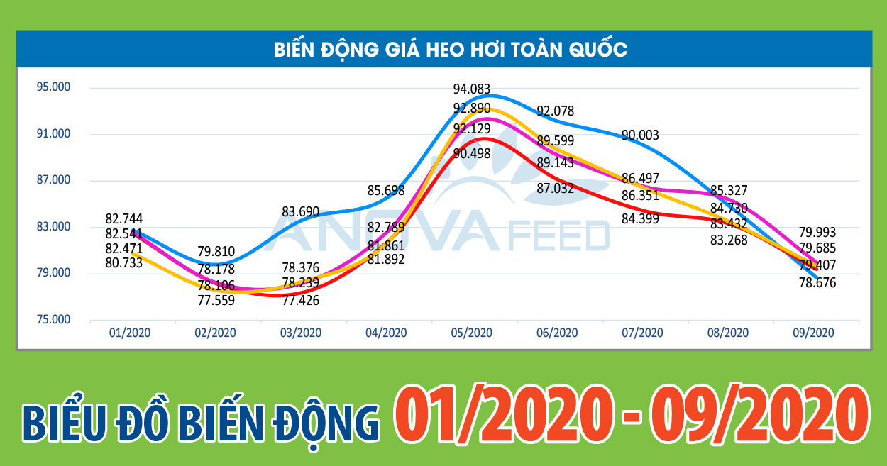 ANOVA FEED - BIỂU ĐỒ BIẾN ĐỘNG GIÁ THỊ TRƯỜNG CHĂN NUÔI NĂM 2020 TỪ 01/2020 - 09/2020