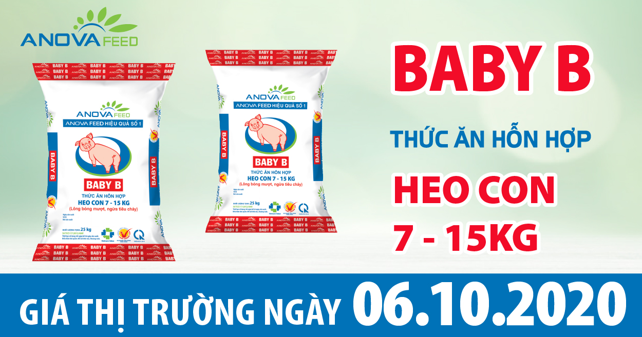 Anova Feed - Giá heo hơi hôm nay 06/10/2020 miền Bắc giảm mạnh có nơi 4.000 - 5.000 đồng/kg.