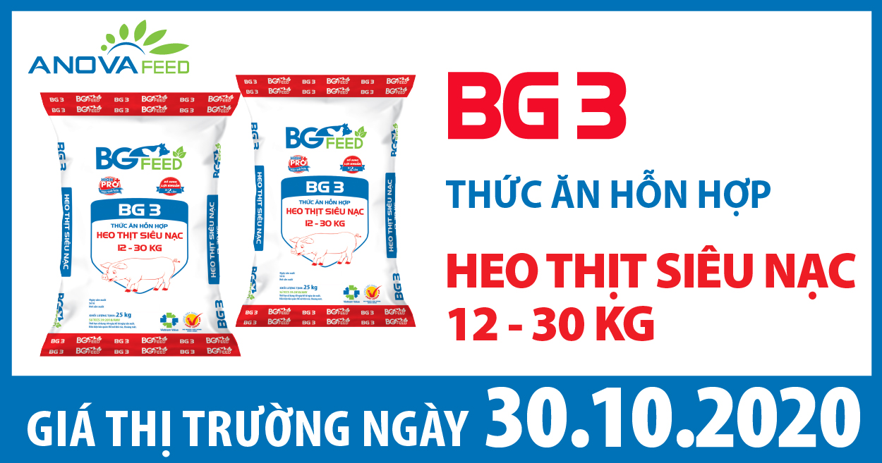 Anova Feed - Giá heo hơi hôm nay 30/10/2020 nhiều địa phương dự đoán tiếp tục tăng trong thời gian tới