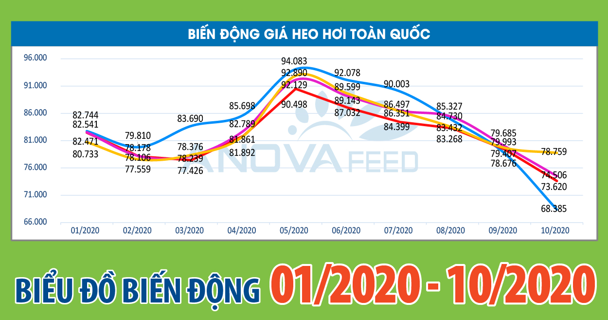 ANOVA FEED - BIỂU ĐỒ BIẾN ĐỘNG GIÁ THỊ TRƯỜNG CHĂN NUÔI NĂM 2020 TỪ 01/2020 - 10/2020